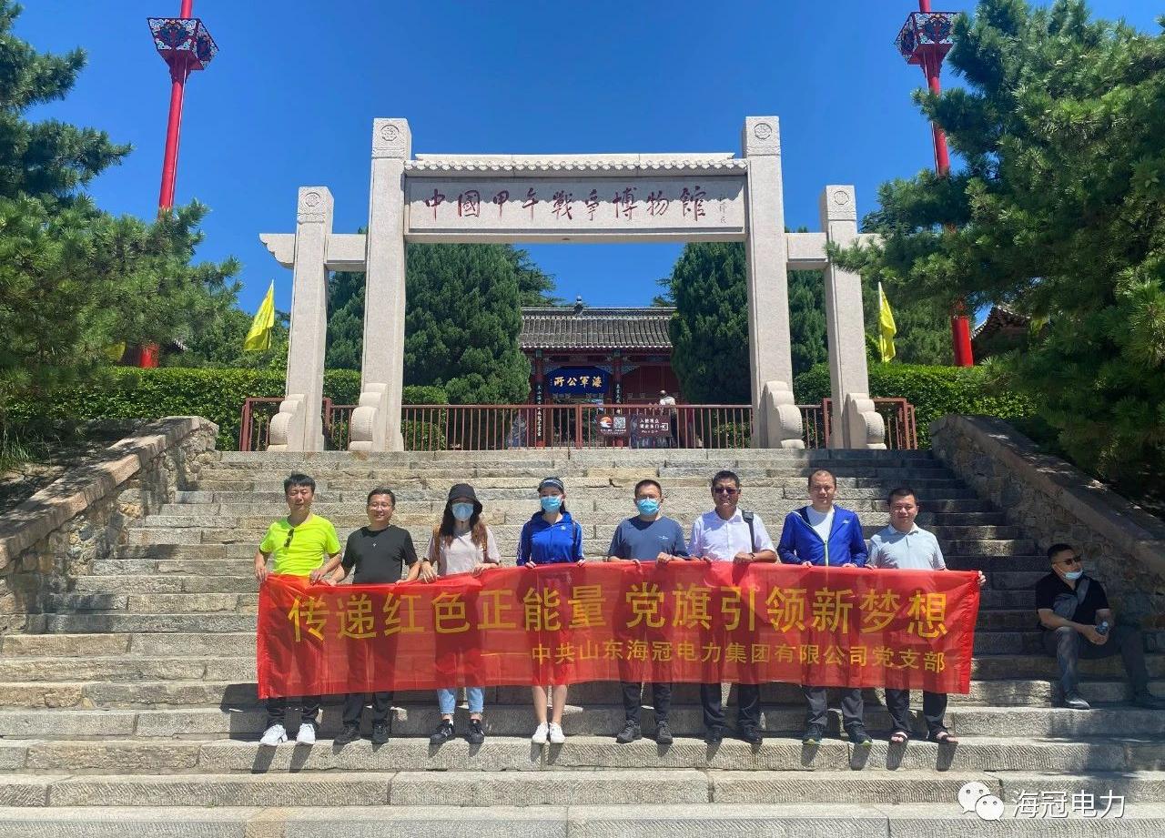传递红色正能量 党旗引领新梦想